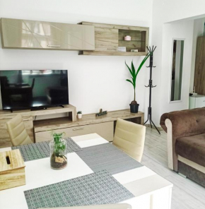 Friendly little studio Braşov